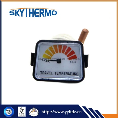 Thermomètre capillaire en plastique avec boîtier capillaire avec capillaire enduit de PCV